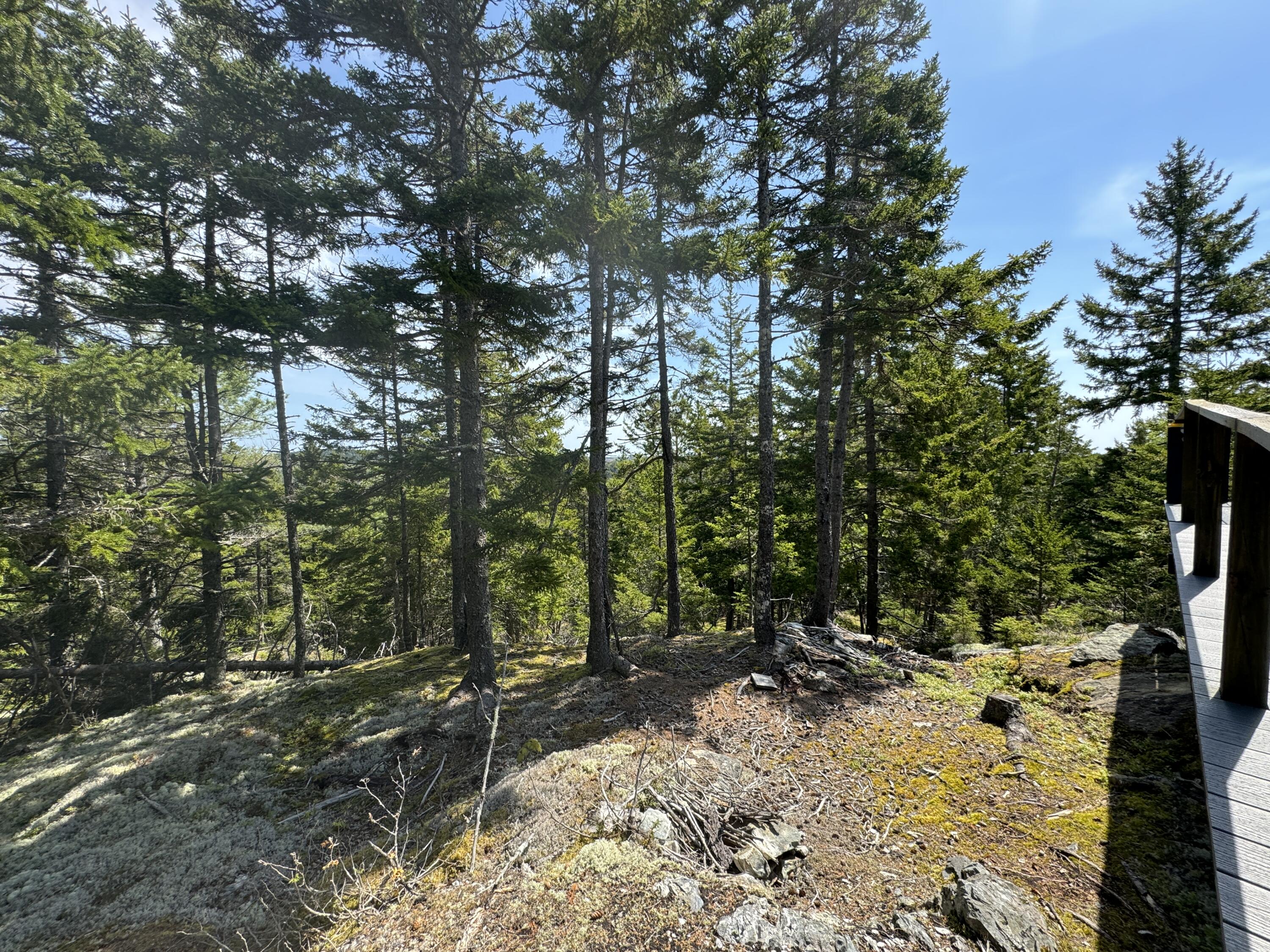 998 Cape Rosier Road Harborside, ME 04642 - Photo 23 of 42 Looking Over Rail