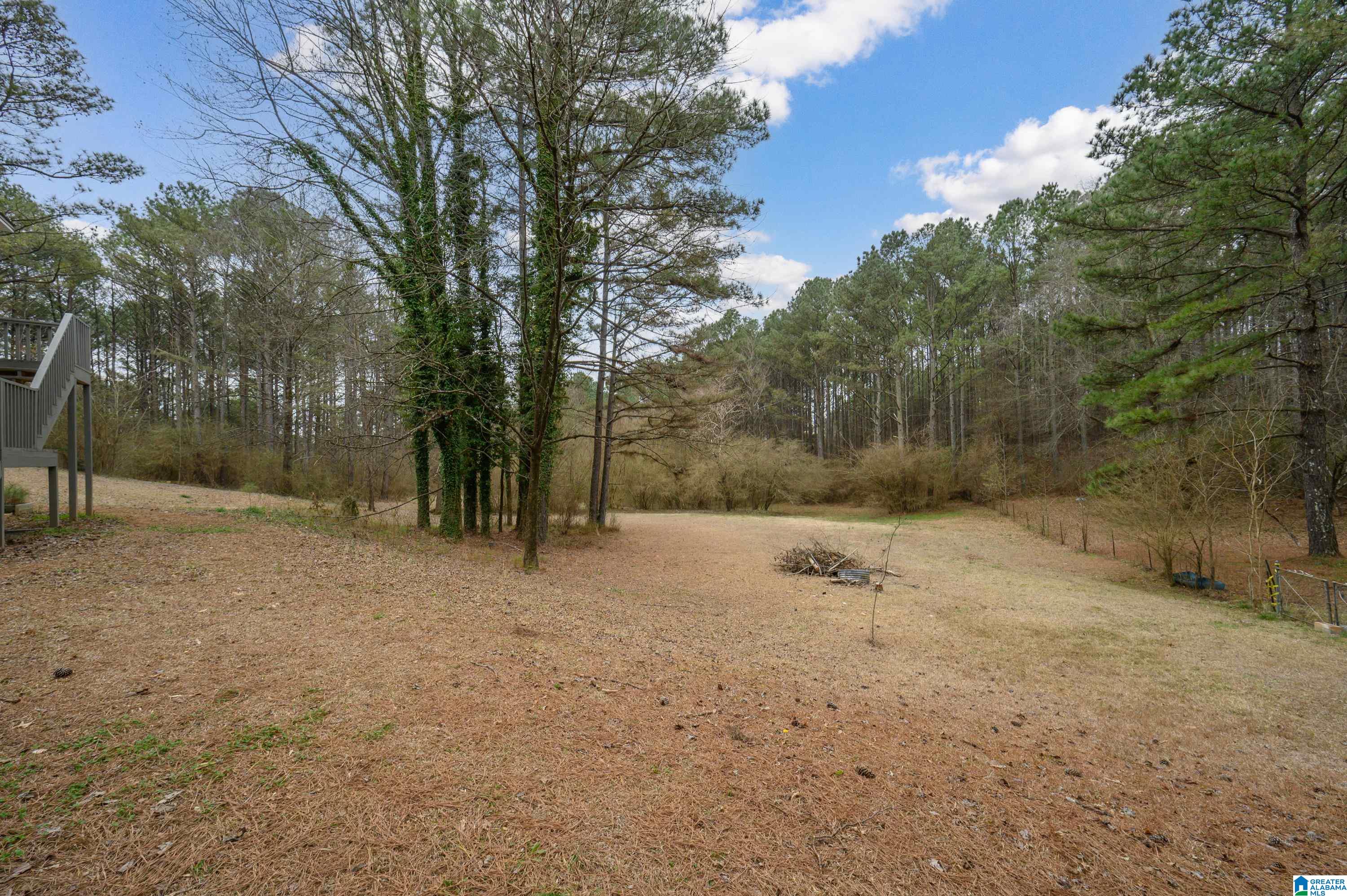 355 Whitlow Road Sumiton, AL 35148 - Photo 46 of 58