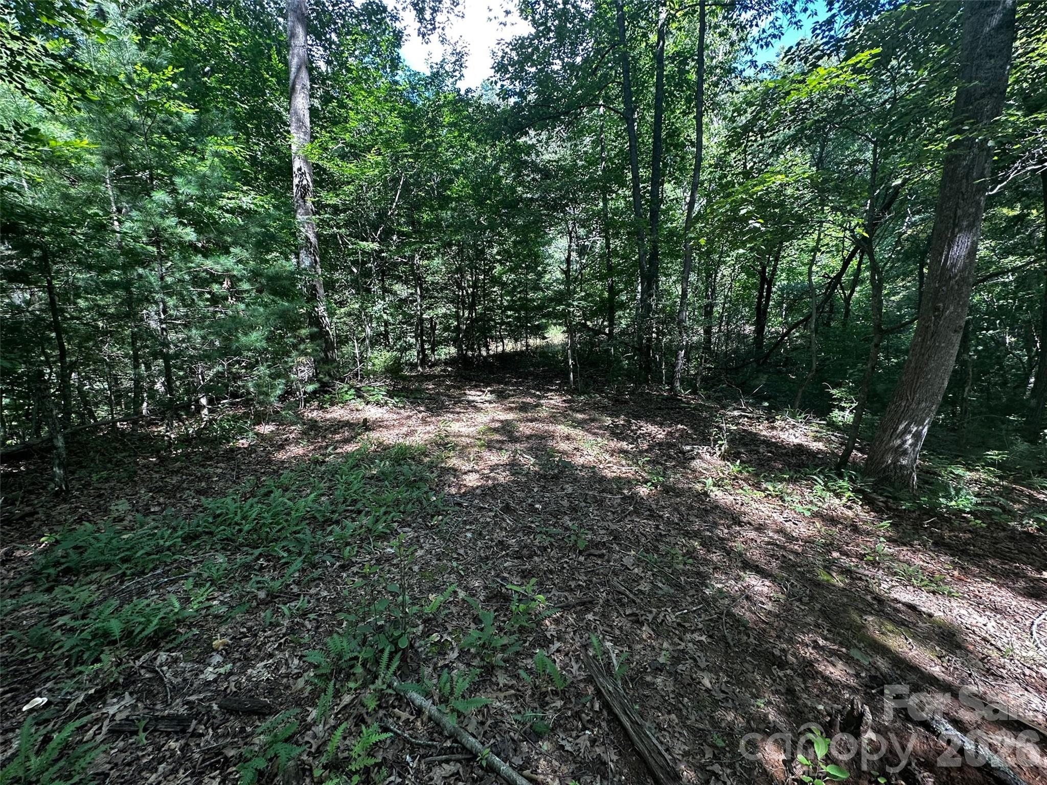 0 Lake Logan Road Canton, NC 28716 - Photo 17 of 22 a view of outdoor space and green space