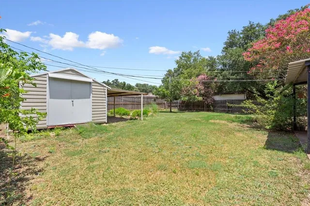 a backyard of a house with plants and tree
