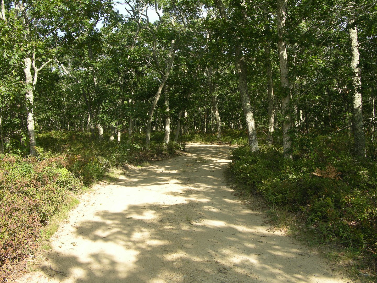 80 Oyster Pond Road Edgartown, MA 02539 - Photo 8 of 10 Gallery Image 8