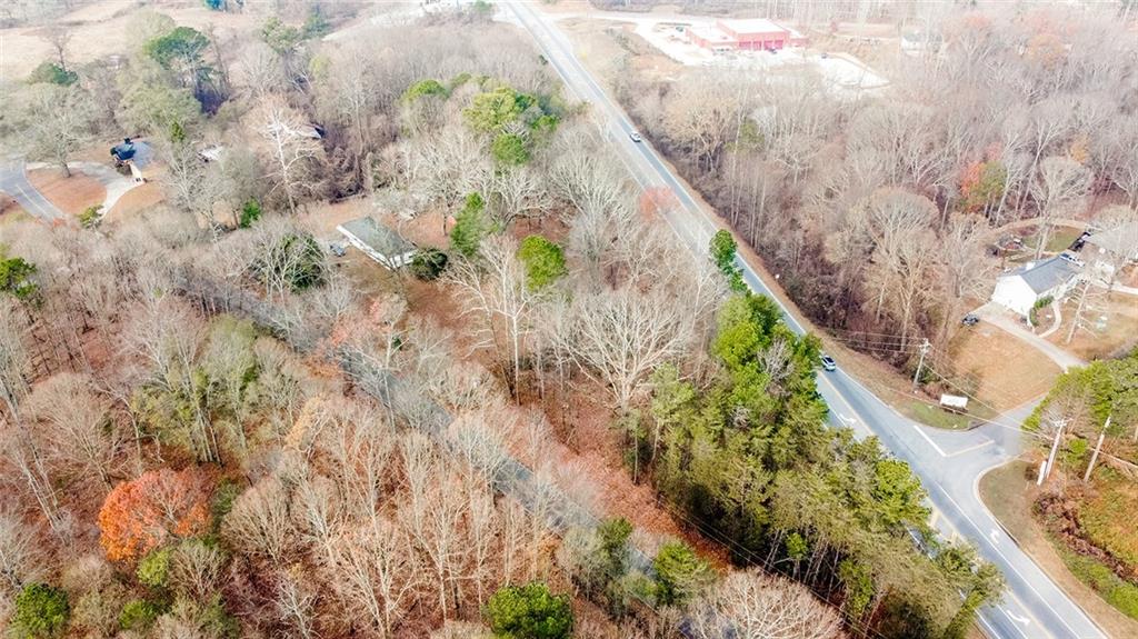 0 Browns Bridge Road Gainesville, GA 30506 - Photo 8 of 13 a close up of a plant in a garden