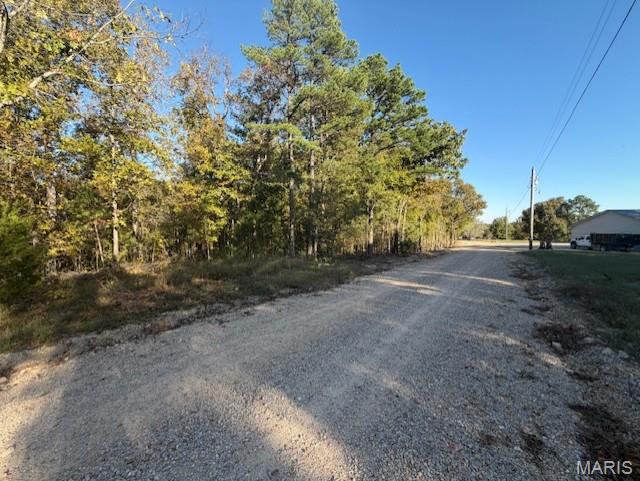 0 Rabbit Run Road Poplar Bluff, MO 63901 - Photo 2 of 3
