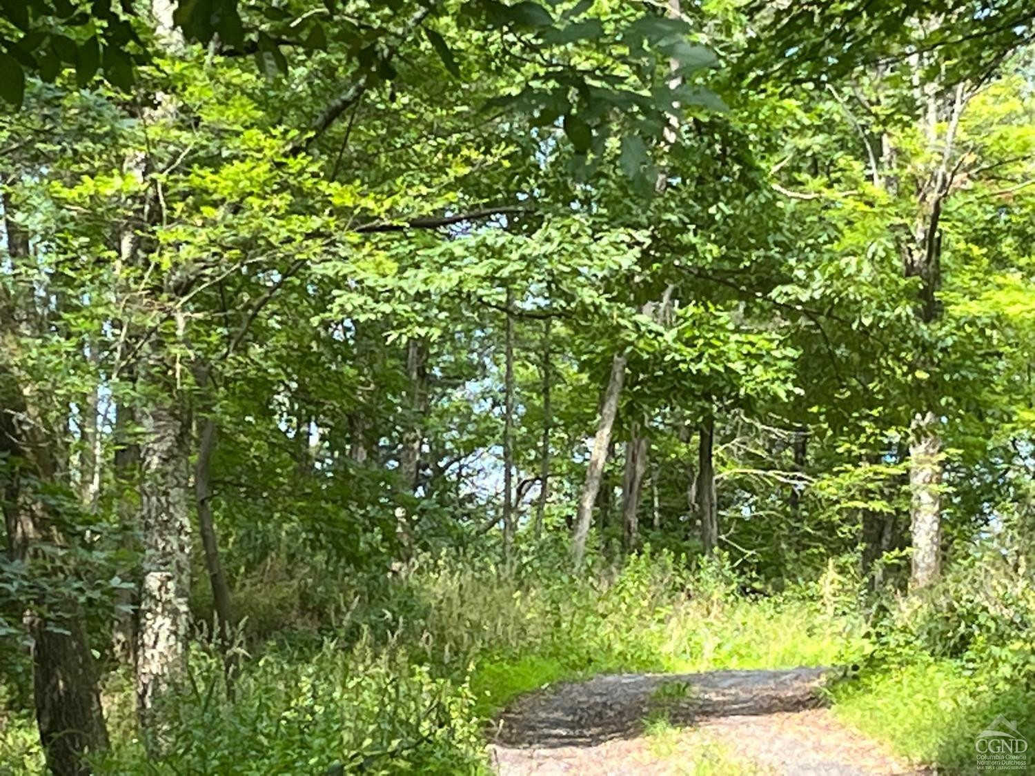 0 Mt Ross Road Pine Plains, NY 12567 - Photo 4 of 5 Photo 4