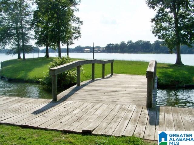 6089 Rainbow Row Pell City, AL 35128 - Photo 48 of 50