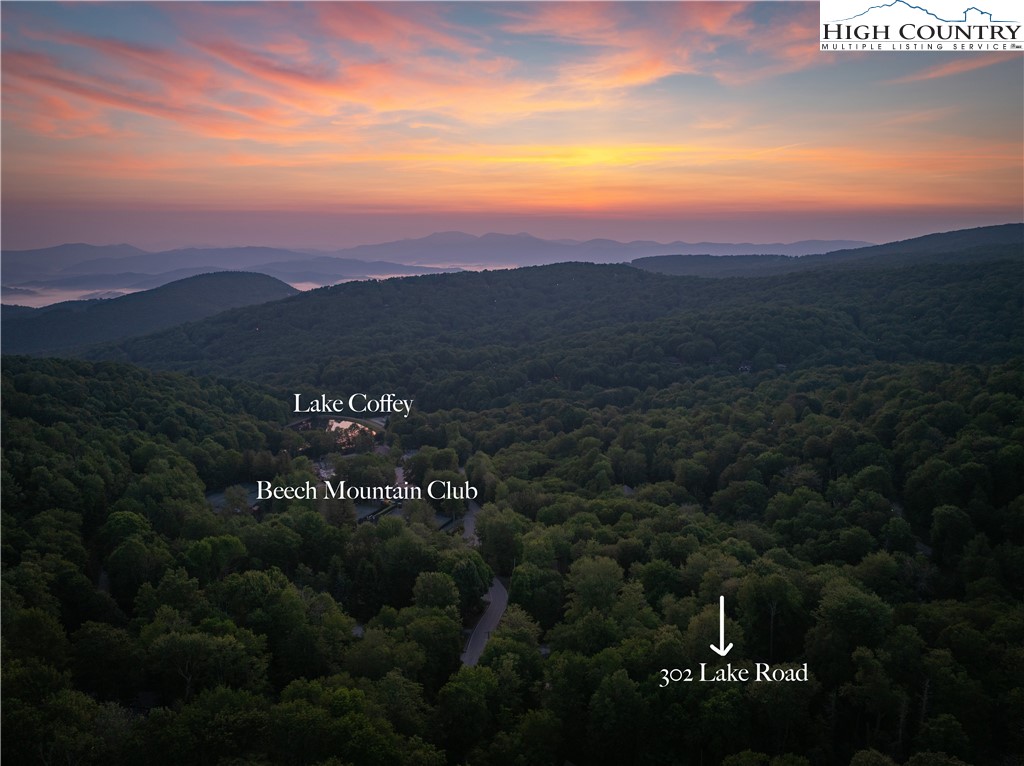 302 Lake Road Beech Mountain, NC 28604 - Photo 3 of 41 Gallery Image 3