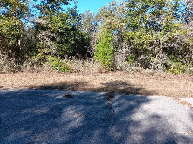 a view of a dirt road with trees in the background