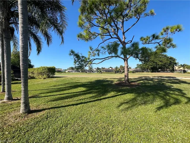 a view of a yard with a tree