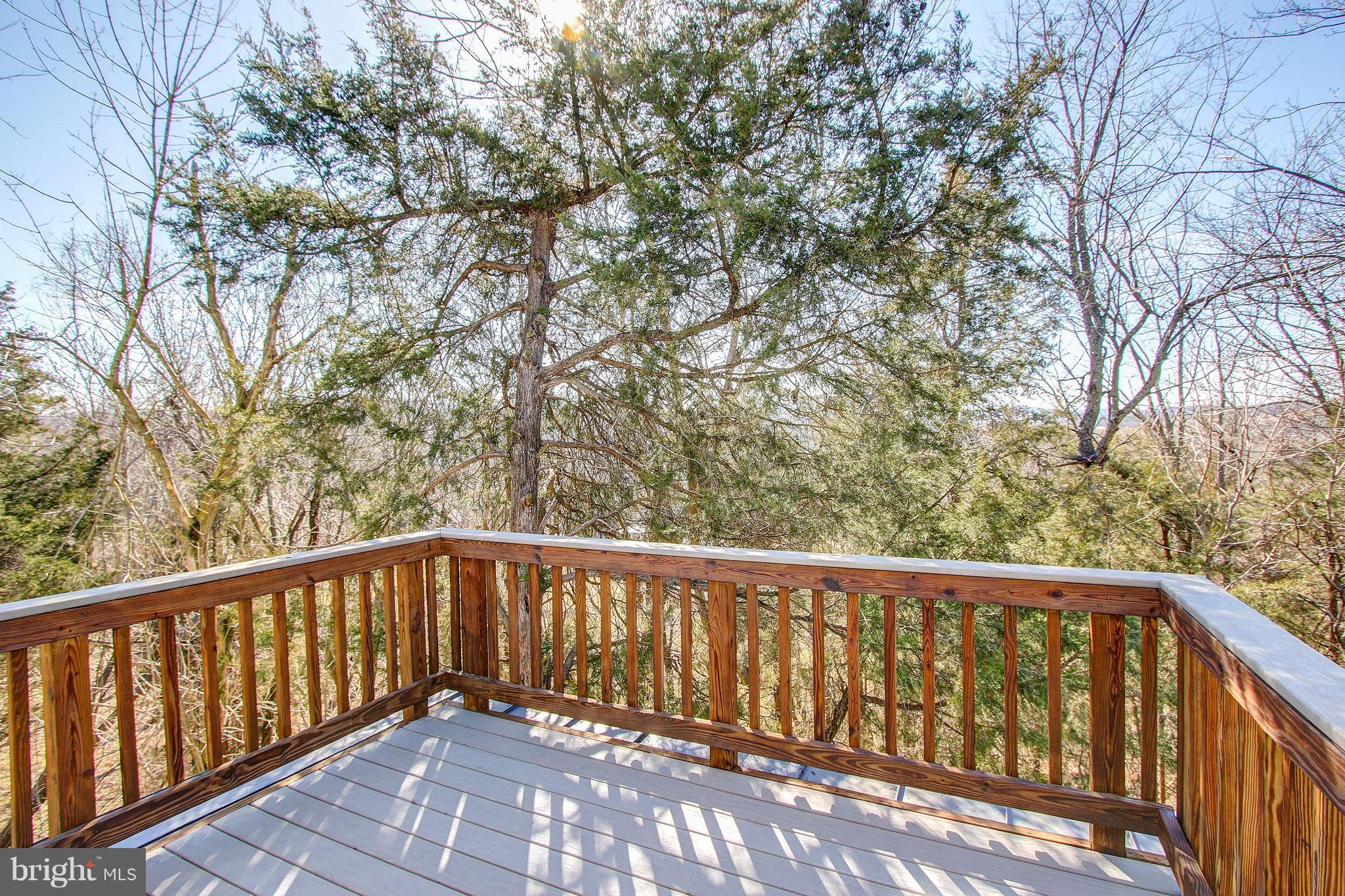 39189 Aldie Road Aldie, VA 20105 - Photo 16 of 30 Incredible Views from Private Balcony!