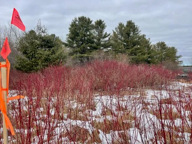 $13,500 | 12 A Golf Course Road, Madawaska, ME 04773