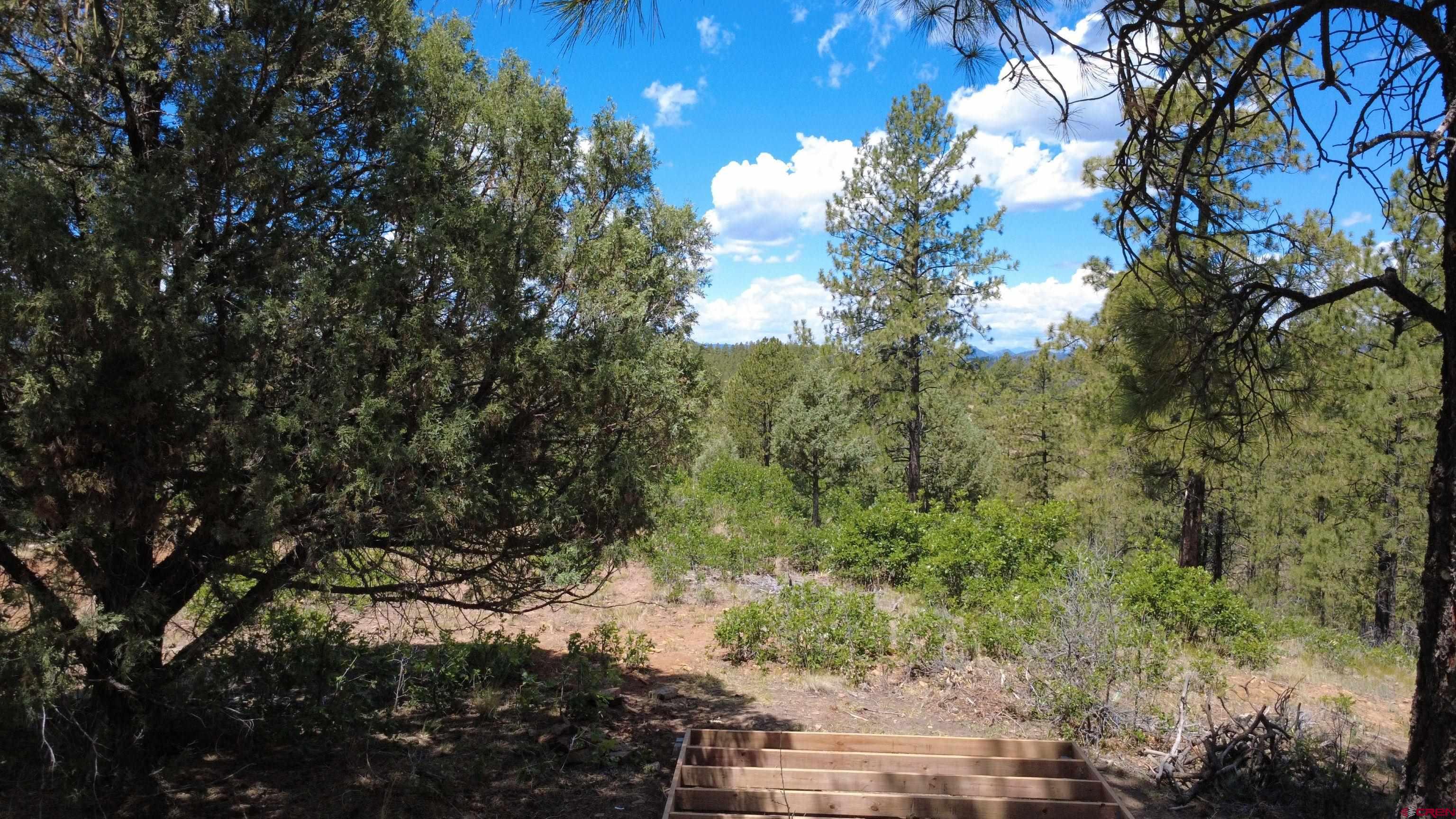 121 Engineer Point Pagosa Springs, CO 81147 - Photo 8 of 43