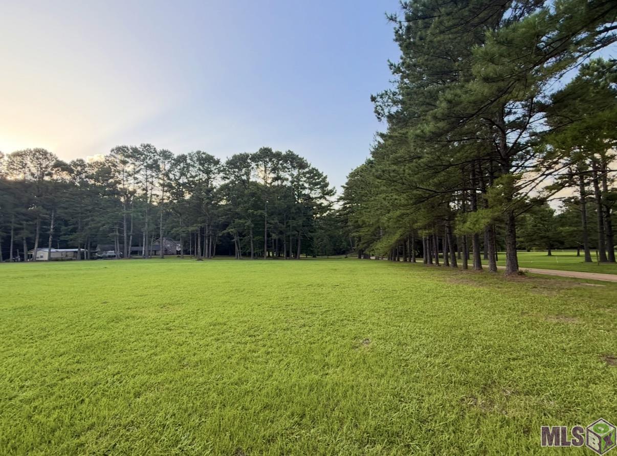 2363 Holly Ridge Road Jackson, LA 70748 - Photo 47 of 49