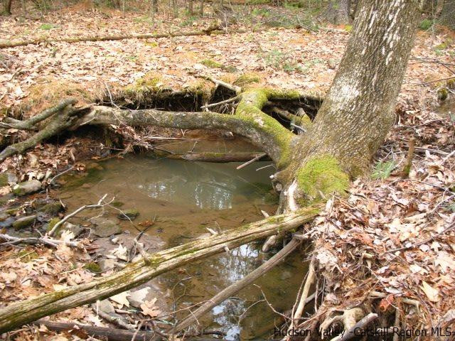 0 Carle Road Mount Tremper, NY 12457 - Photo 13 of 35 Photo 13