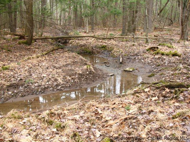 0 Carle Road Mount Tremper, NY 12457 - Photo 15 of 35 Photo 15