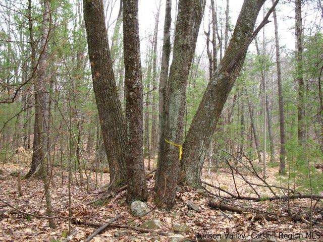 0 Carle Road Mount Tremper, NY 12457 - Photo 16 of 35 Photo 16