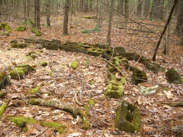 0 Carle Road Mount Tremper, NY 12457 - Photo 17 of 35 Photo 17