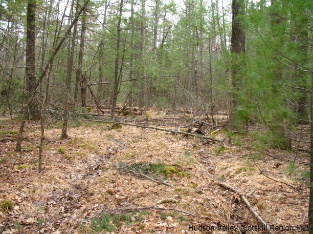 0 Carle Road Mount Tremper, NY 12457 - Photo 19 of 35 Photo 19