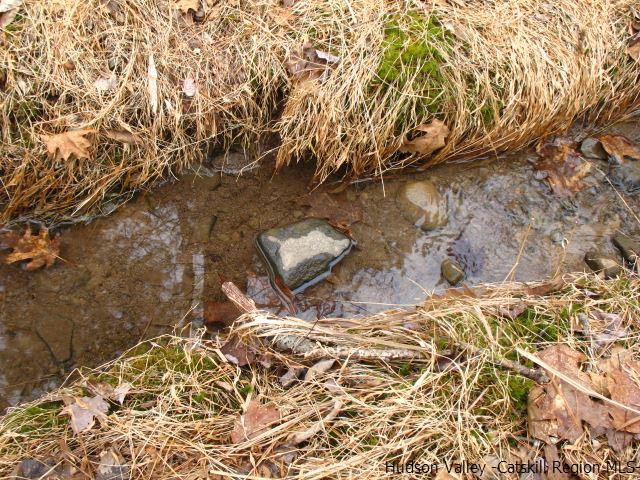 0 Carle Road Mount Tremper, NY 12457 - Photo 20 of 35 Photo 20