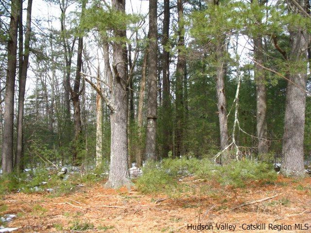 0 Carle Road Mount Tremper, NY 12457 - Photo 2 of 35 Photo 2