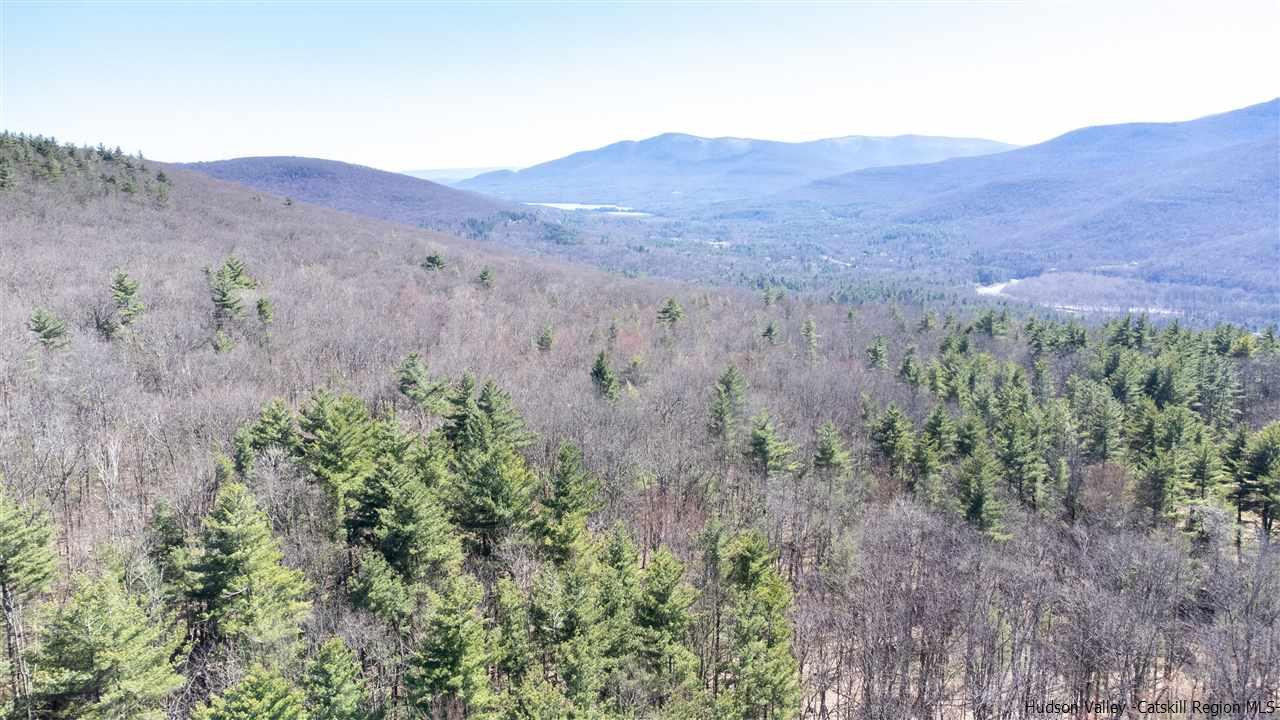 0 Carle Road Mount Tremper, NY 12457 - Photo 22 of 35 Photo 22