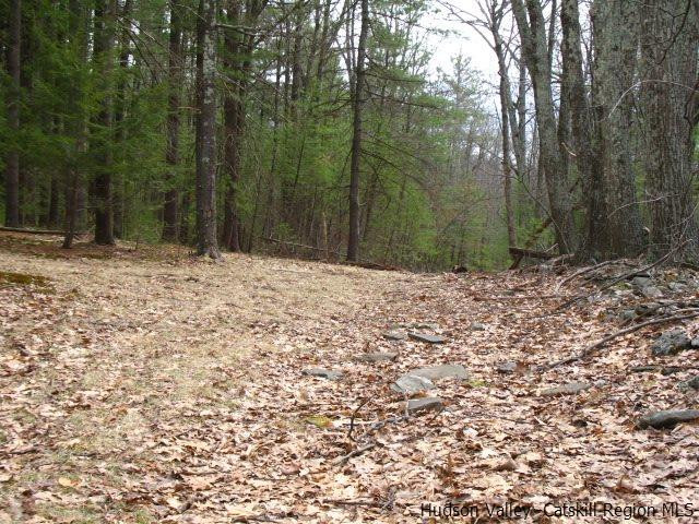 0 Carle Road Mount Tremper, NY 12457 - Photo 30 of 35 Photo 30