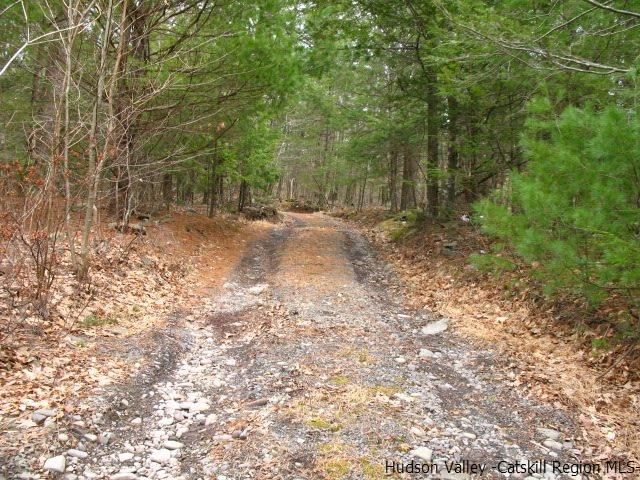 0 Carle Road Mount Tremper, NY 12457 - Photo 3 of 35 Photo 3