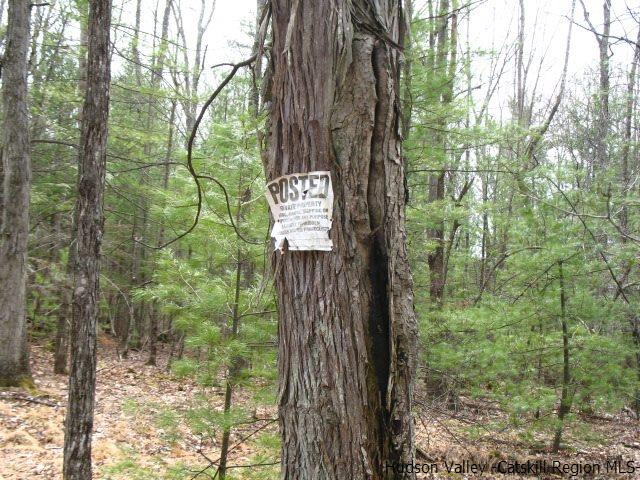 0 Carle Road Mount Tremper, NY 12457 - Photo 32 of 35 Photo 32