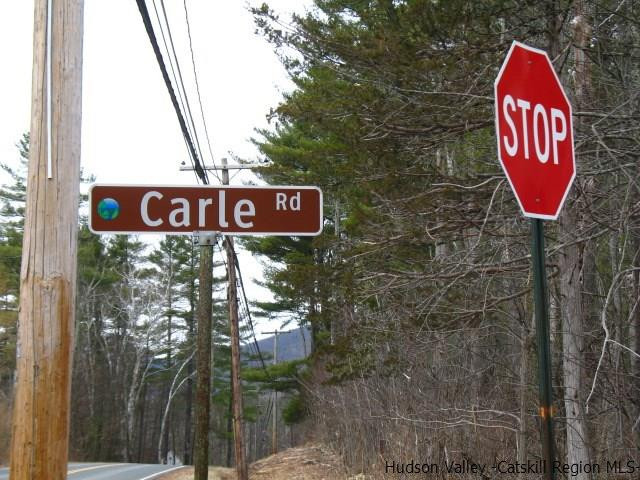0 Carle Road Mount Tremper, NY 12457 - Photo 35 of 35 Photo 35