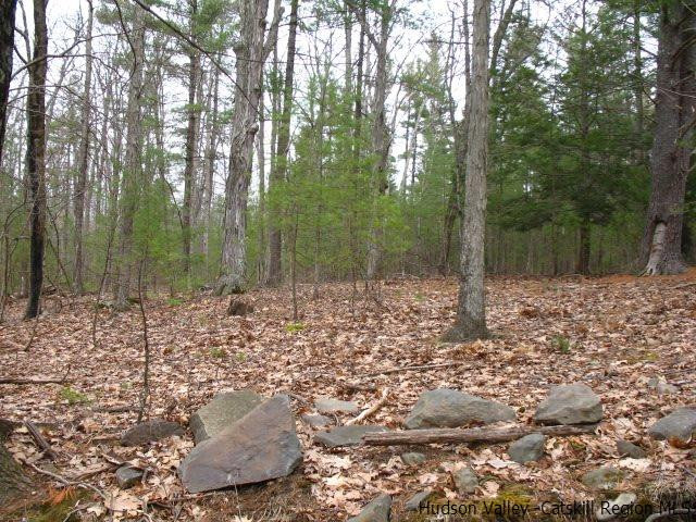 0 Carle Road Mount Tremper, NY 12457 - Photo 5 of 35 Photo 5