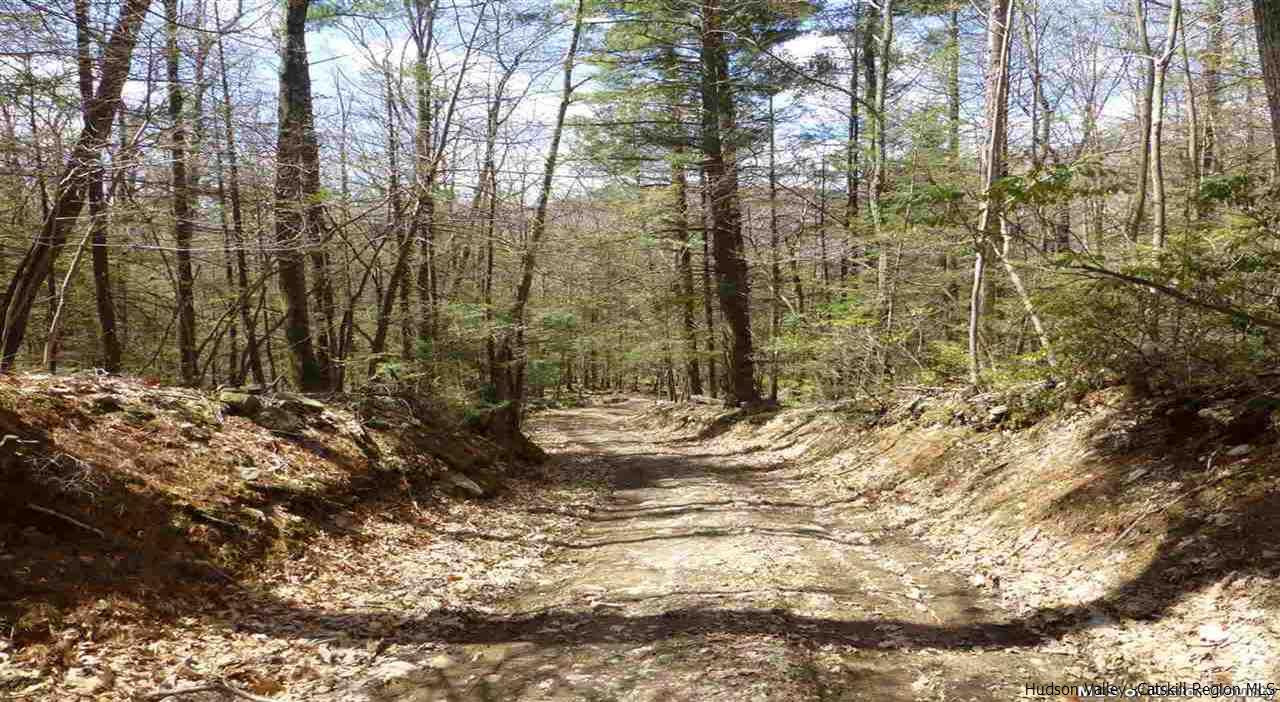 0 Carle Road Mount Tremper, NY 12457 - Photo 6 of 35 Photo 6