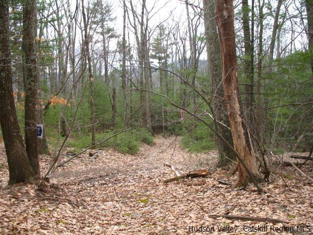 0 Carle Road Mount Tremper, NY 12457 - Photo 8 of 35 Photo 8