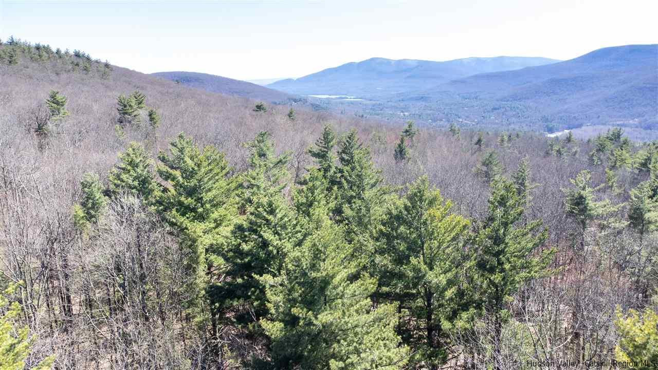 0 Carle Road Mount Tremper, NY 12457 - Photo 9 of 35 Photo 9