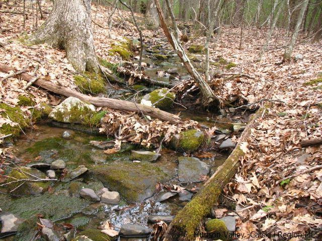 0 Carle Road Mount Tremper, NY 12457 - Photo 10 of 35 Photo 10