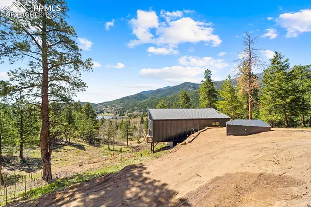 a view of a backyard with a tree