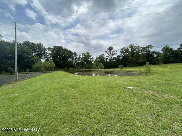 2096 Swilley Road Wesson, MS 39191 - Photo 71 of 86 IMG_4343