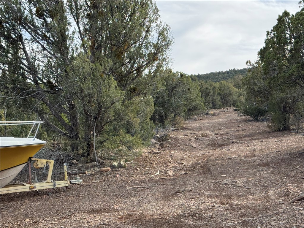 34745 West Running Shadow Road Seligman, AZ 86337 - Photo 43 of 52