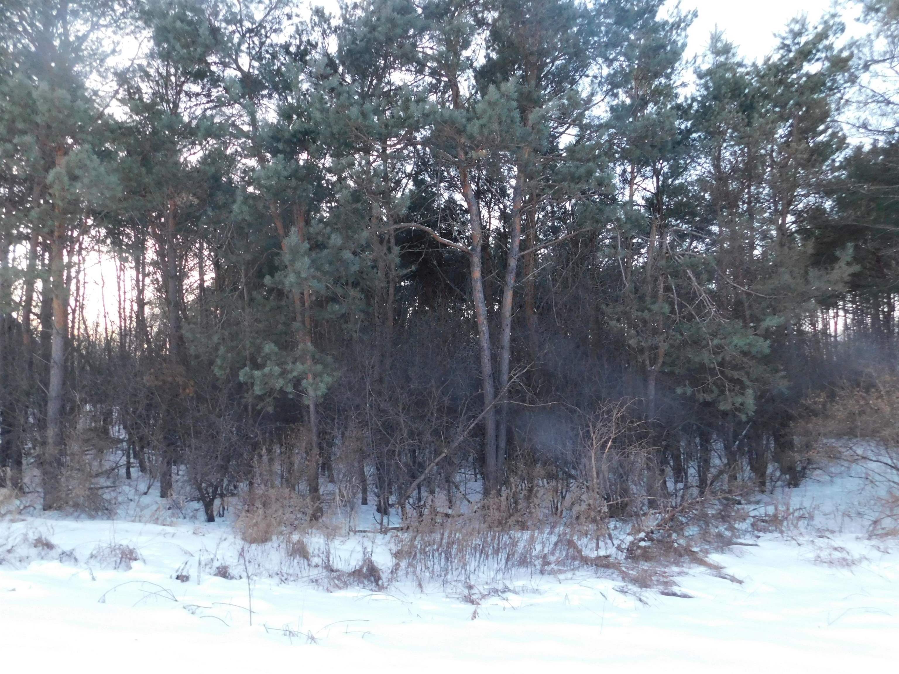 Lot 17 Prairie River Merrill, WI 54452 - Photo 1 of 1