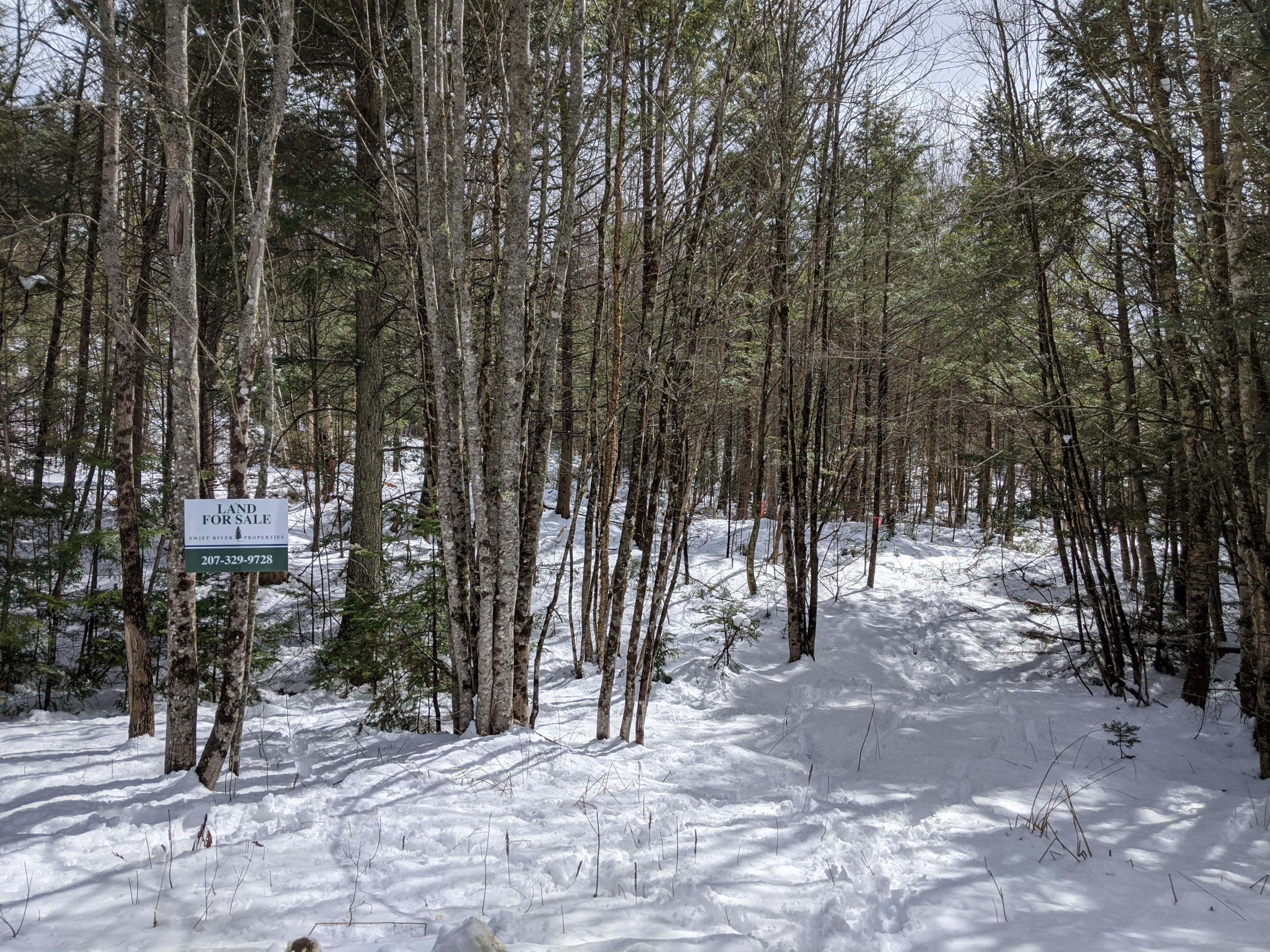 Lot 1 Beaver Ridge Road Freedom, ME 04941 - Photo 2 of 10 IMG_20200324_122516