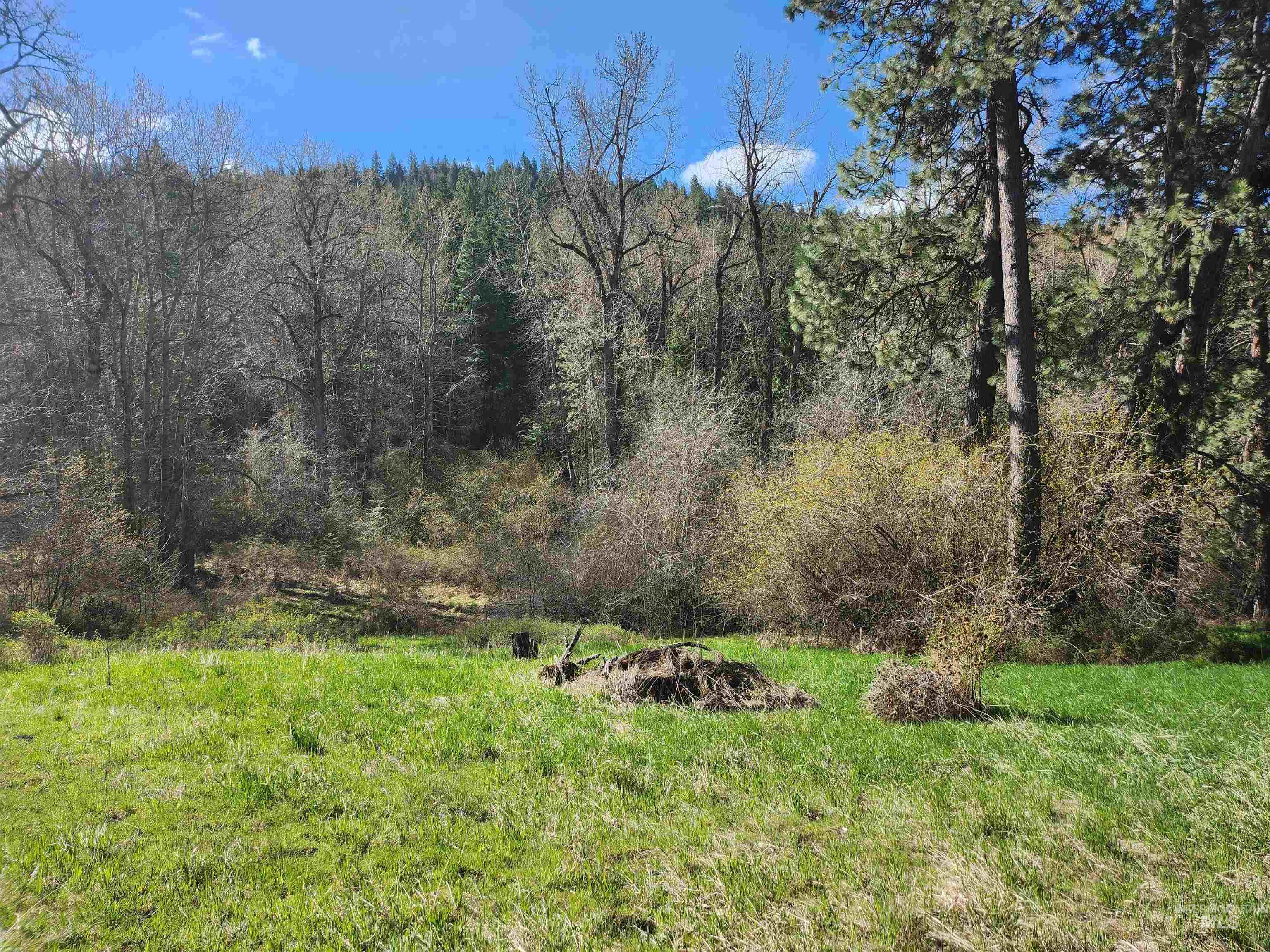 Four Four Mile Road Viola, ID 83872 - Photo 28 of 30
