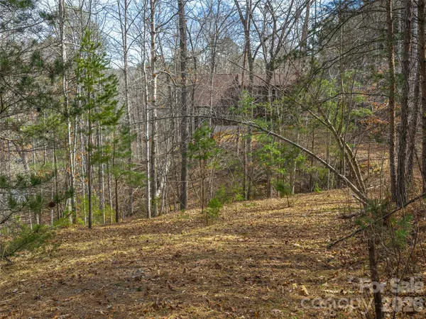 $212,000 | 22-23 Lake Adger Parkway, Mill Spring, NC 28756