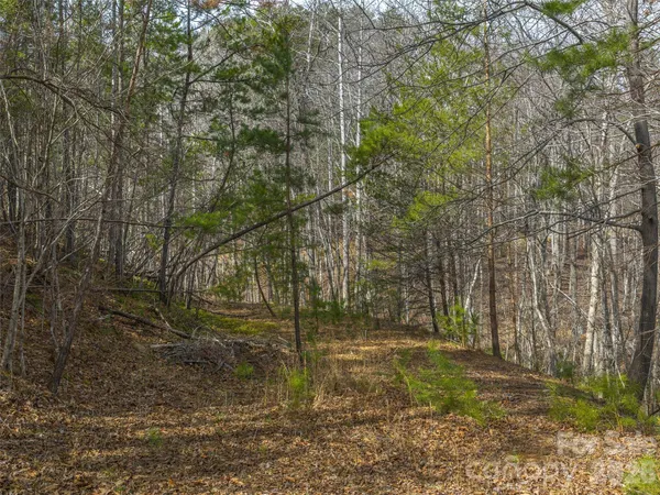 $212,000 | 22-23 Lake Adger Parkway, Mill Spring, NC 28756