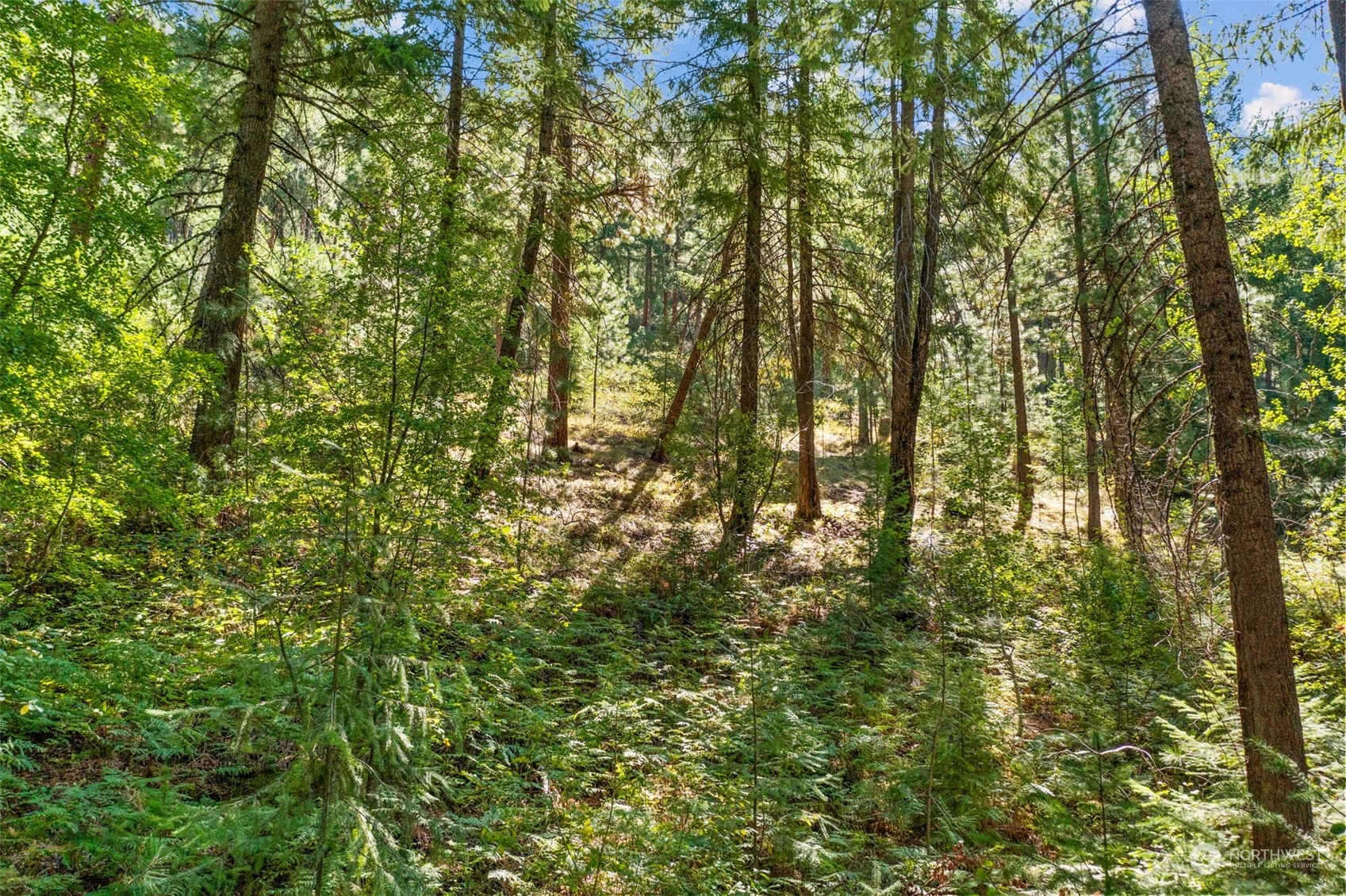 20-mile Entiat River Road Entiat, WA 98822 - Photo 12 of 22 Gallery Image 12