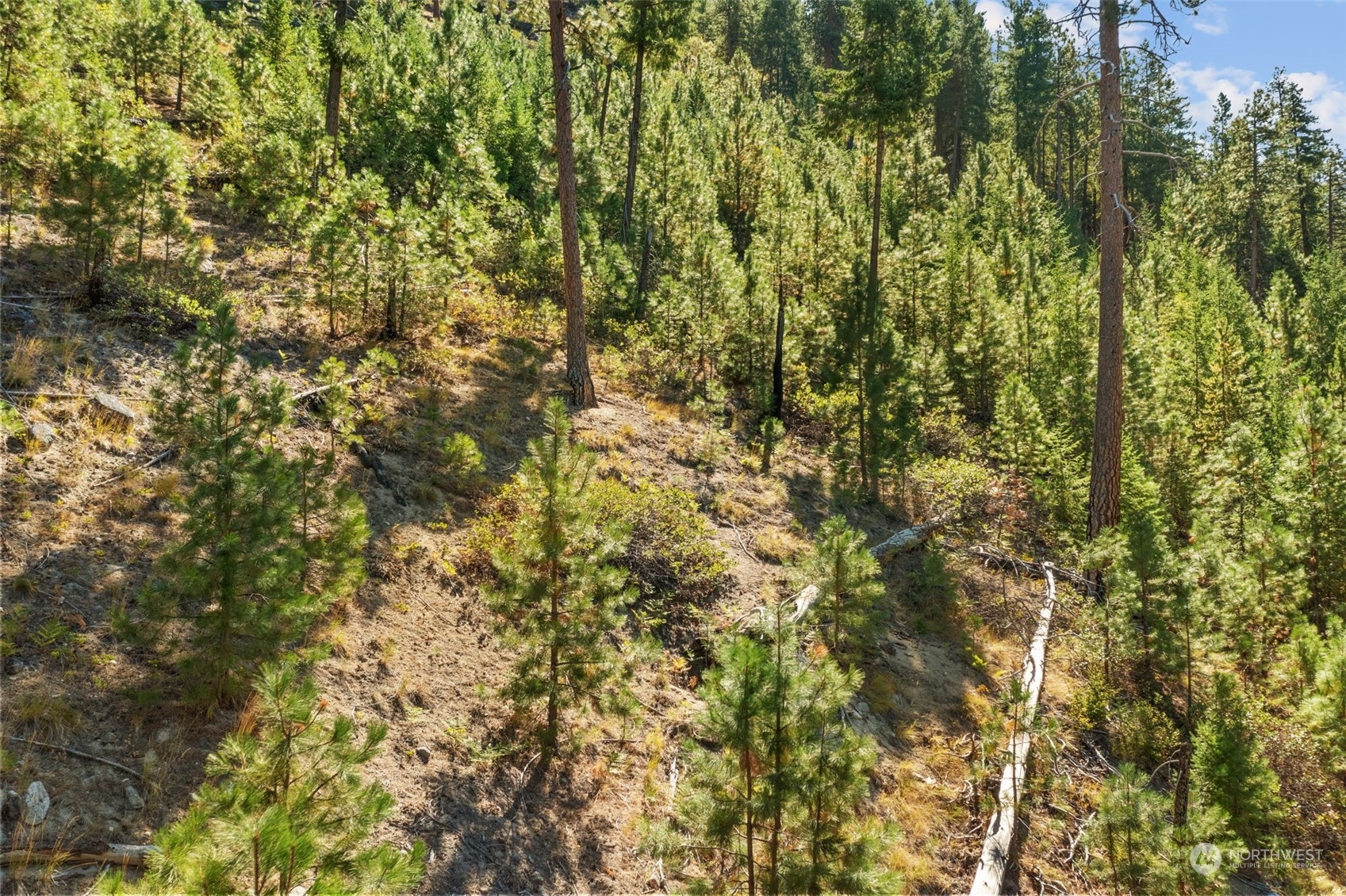 20-mile Entiat River Road Entiat, WA 98822 - Photo 13 of 22 Gallery Image 13