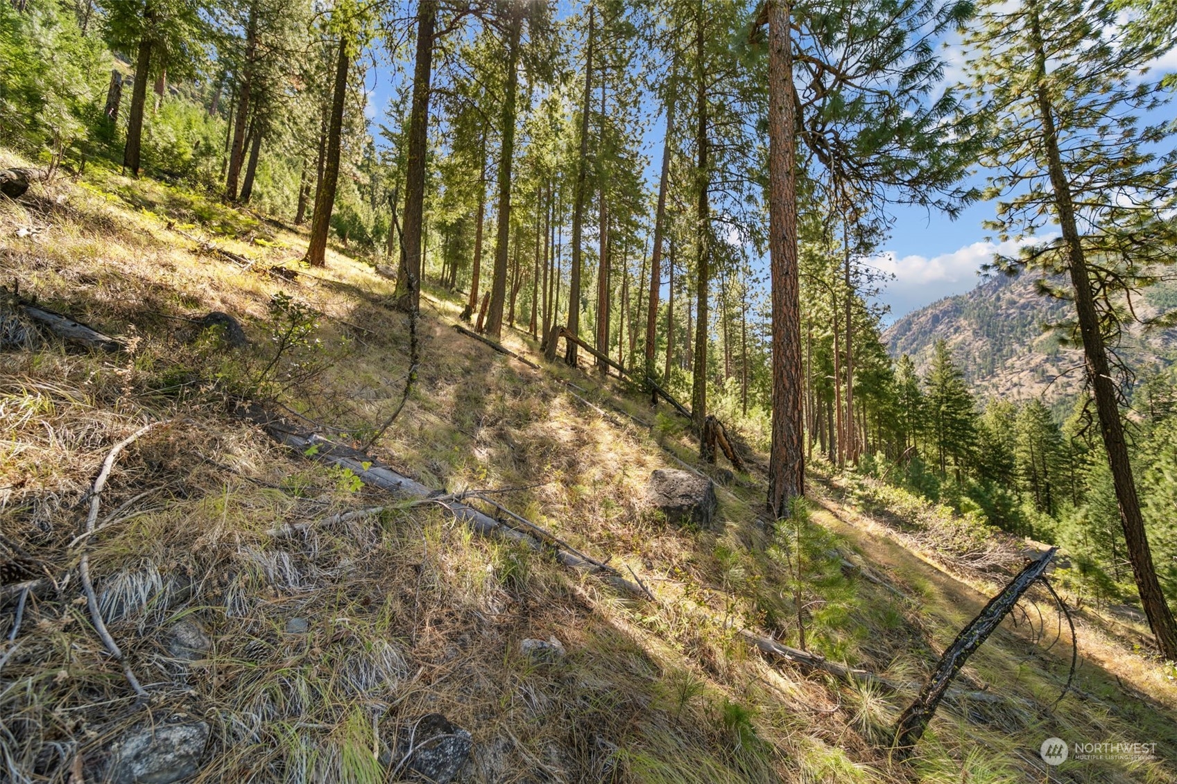 20-mile Entiat River Road Entiat, WA 98822 - Photo 14 of 22 Gallery Image 14