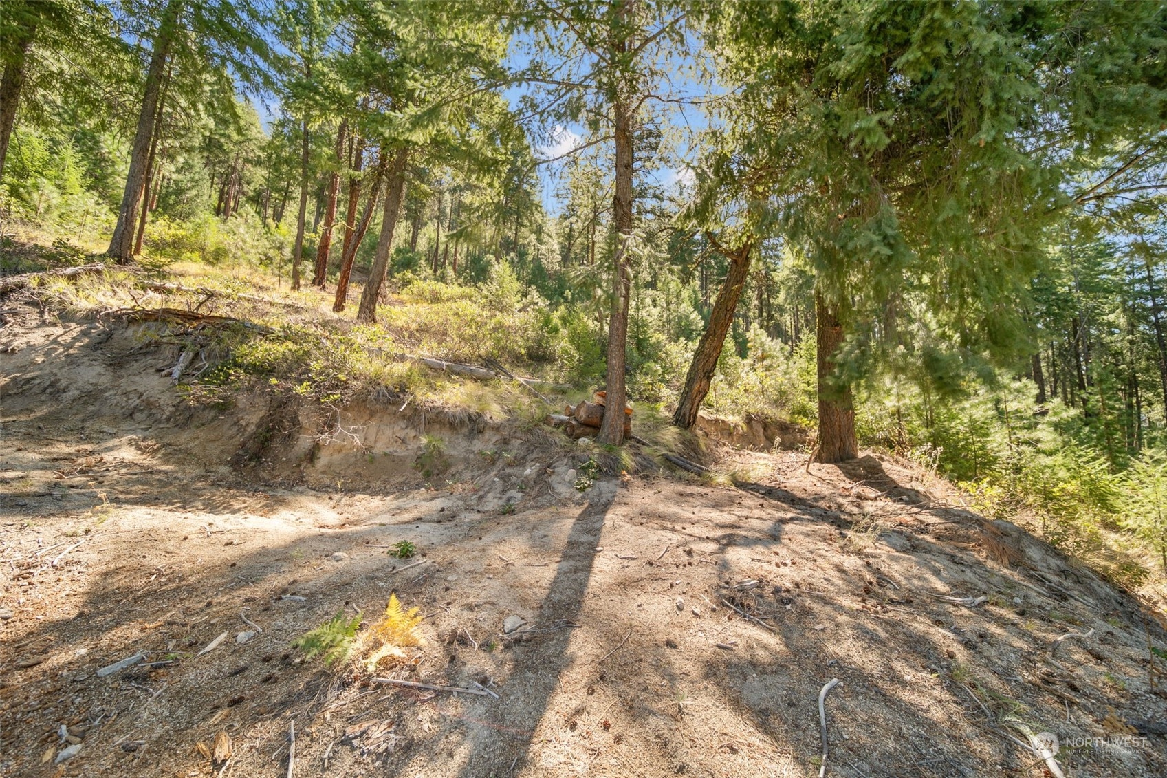 20-mile Entiat River Road Entiat, WA 98822 - Photo 17 of 22 Gallery Image 17