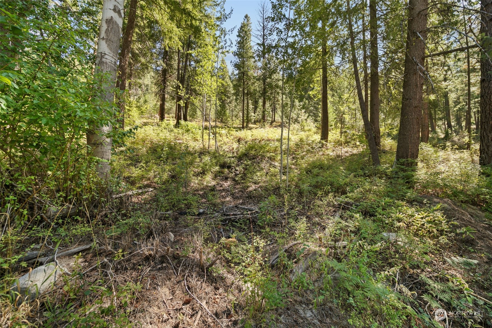 20-mile Entiat River Road Entiat, WA 98822 - Photo 18 of 22 Gallery Image 18
