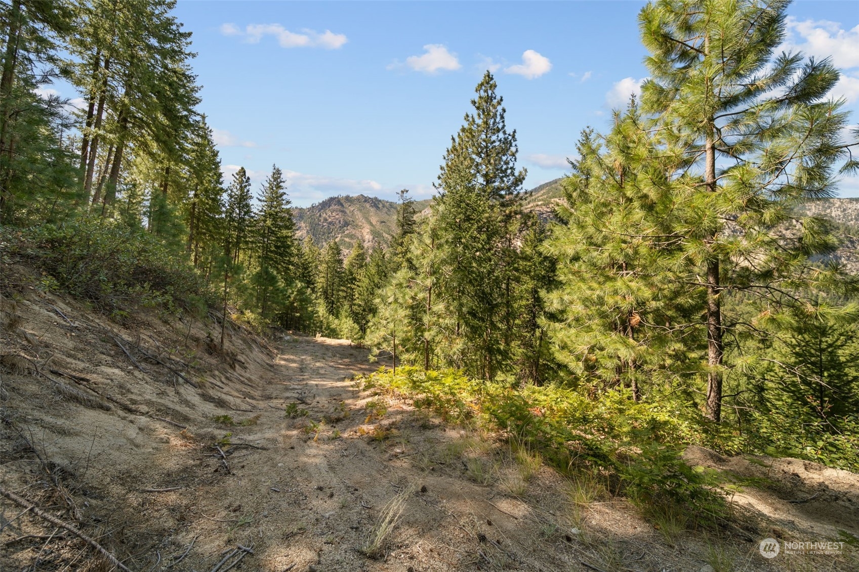 20-mile Entiat River Road Entiat, WA 98822 - Photo 5 of 22 Gallery Image 5