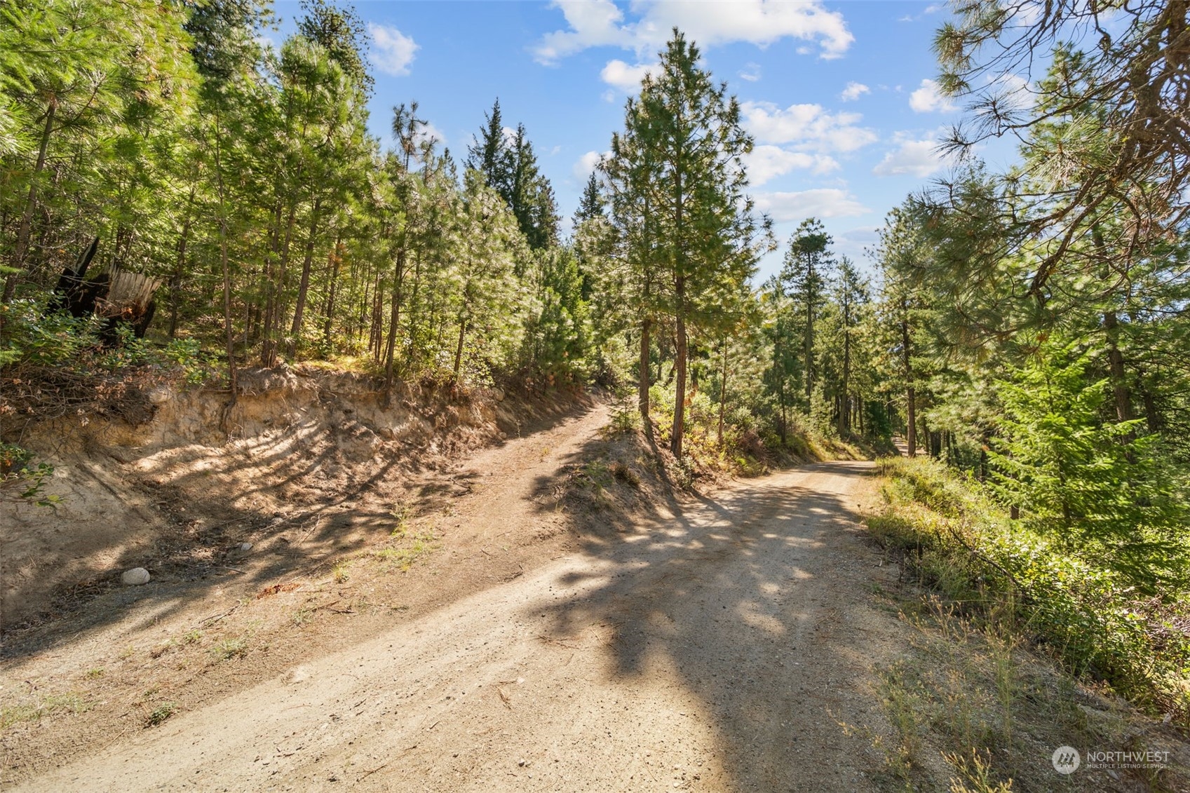 20-mile Entiat River Road Entiat, WA 98822 - Photo 6 of 22 Gallery Image 6
