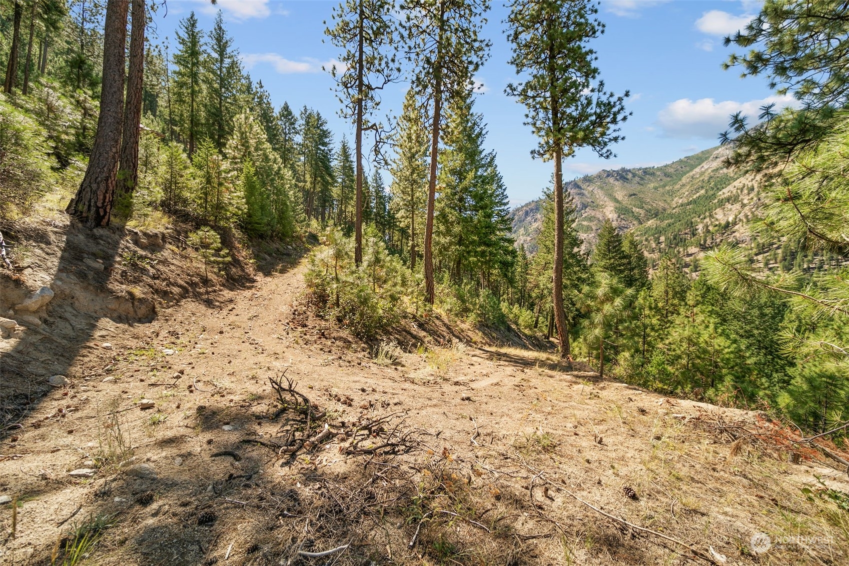20-mile Entiat River Road Entiat, WA 98822 - Photo 8 of 22 Gallery Image 8