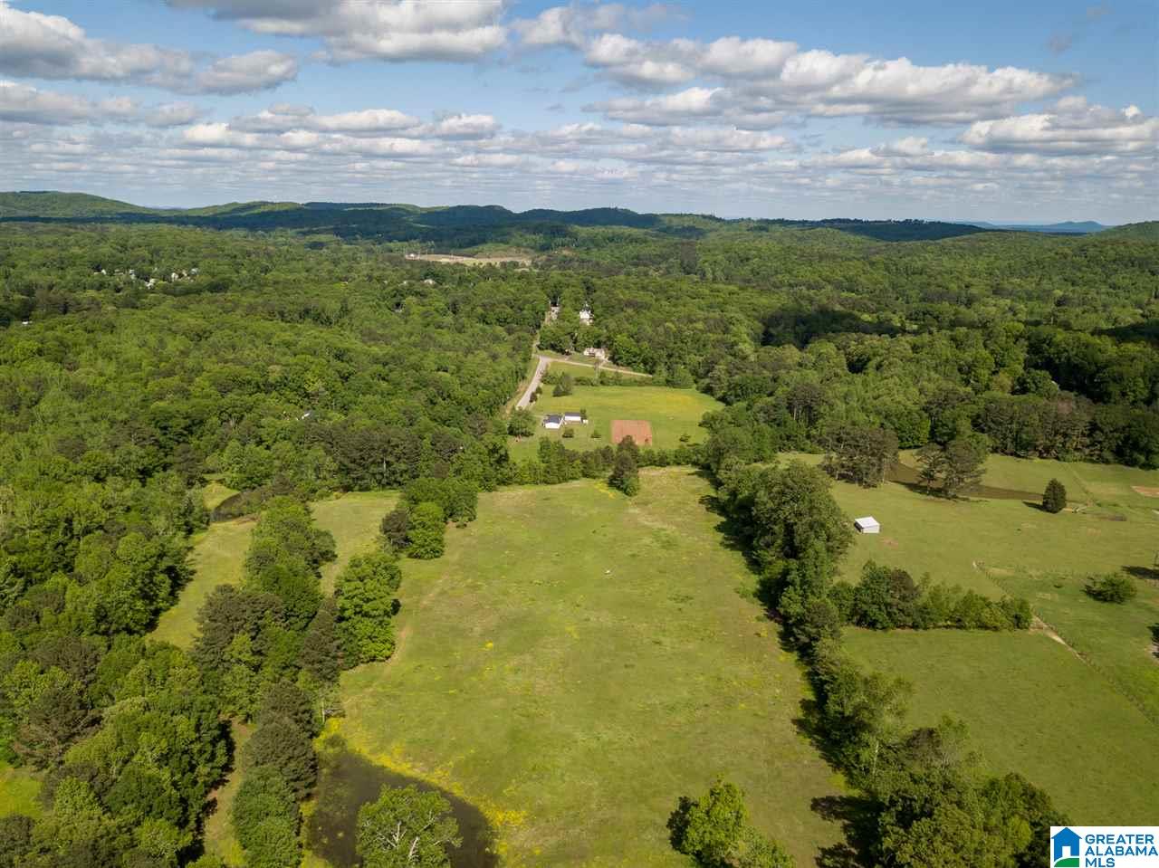 7023 Self Road Pinson, AL 35126 - Photo 7 of 36